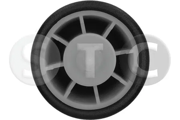Air Spring, suspension