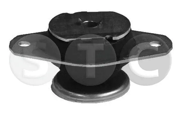 Mounting, engine (T405086)