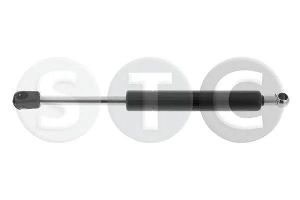 Gas Spring, boot/cargo area (T446206)