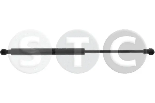 Gas Spring, rear window (T446253)