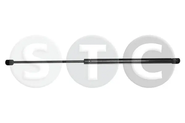 Gas Spring, boot/cargo area (T446845)
