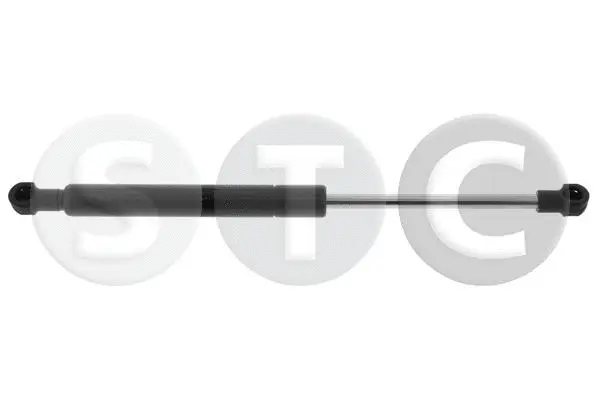 Gas Spring, boot/cargo area (T446914)