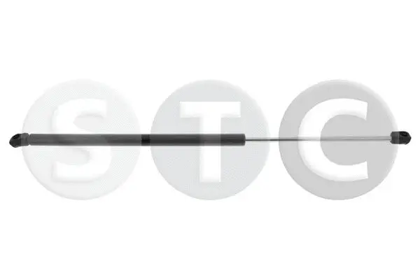 Gas Spring, boot/cargo area (T446518)