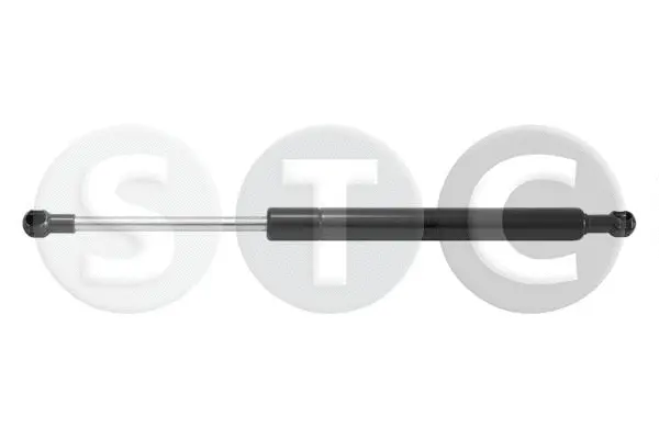 Gas Spring, boot/cargo area (T446434)