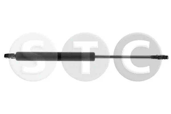 Gas Spring, bonnet (T446390)
