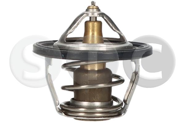 Thermostat, coolant (T430306)
