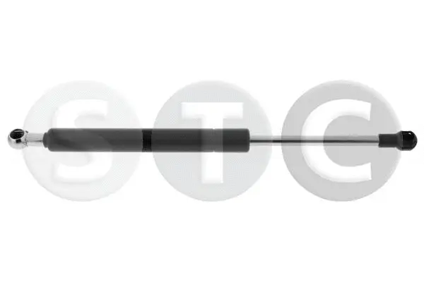 Gas Spring, boot/cargo area (T446874)