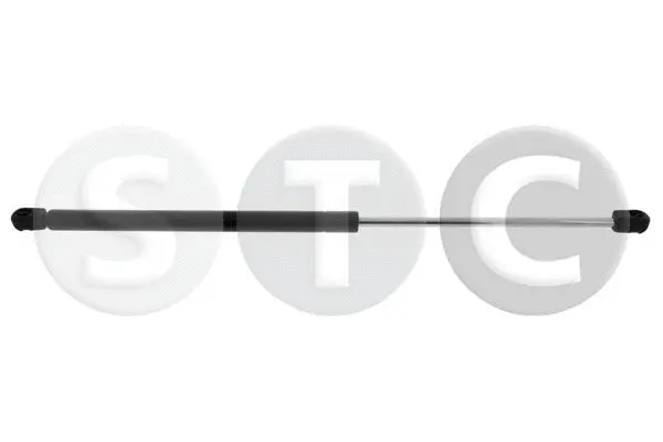 Gas Spring, bonnet (T446615)