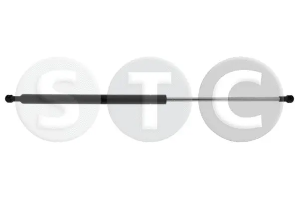 Gas Spring, boot/cargo area (T446317)