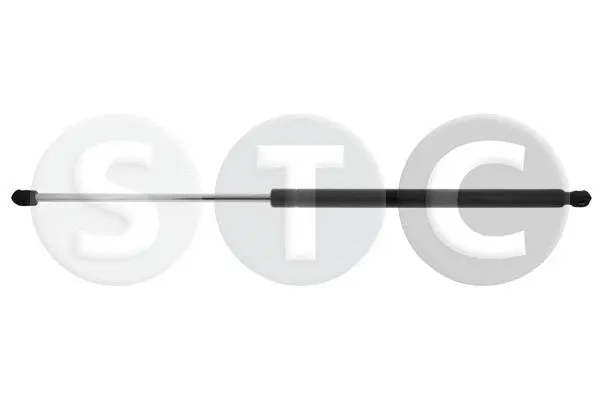 Gas Spring, boot/cargo area (T446373)
