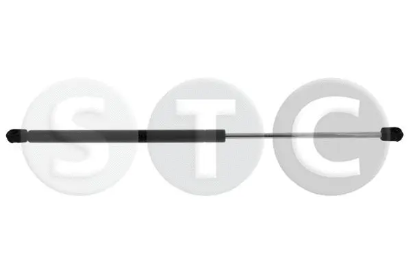 Gas Spring, bonnet (T446482)