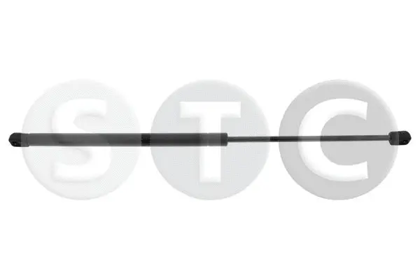 Gas Spring, boot/cargo area (T446707)