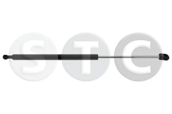 Gas Spring, boot/cargo area (T446348)