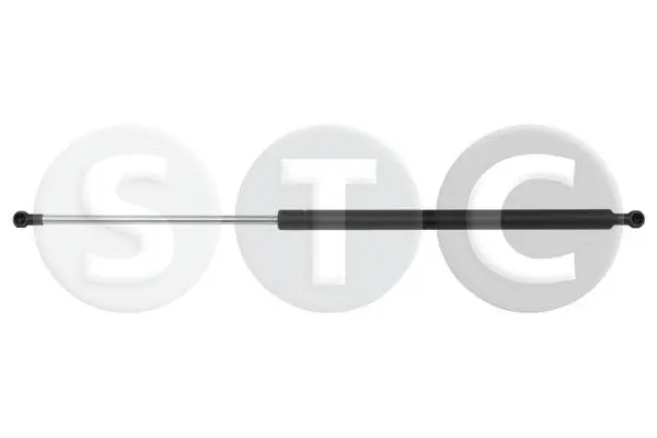 Gas Spring, boot/cargo area (T446552)