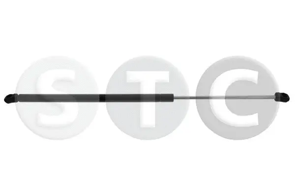 Gas Spring, boot/cargo area (T446465)