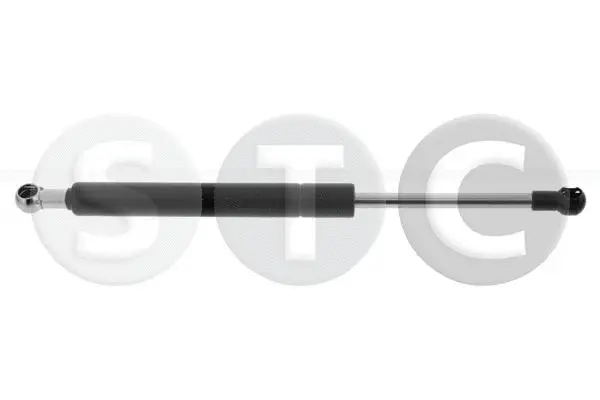 Gas Spring, boot/cargo area (T446526)