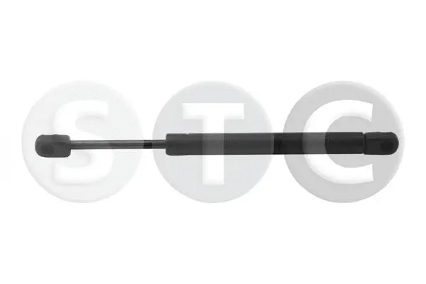 Gas Spring, boot/cargo area (T446560)