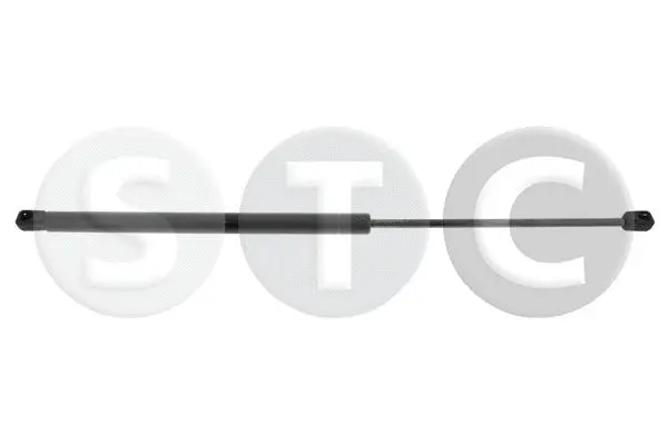 Gas Spring, boot/cargo area (T446734)