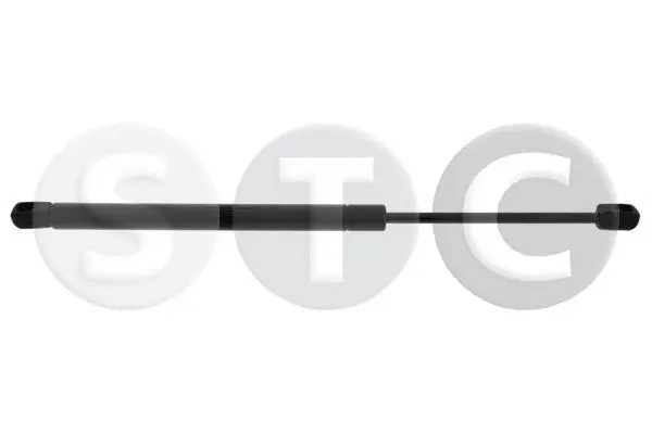 Gas Spring, boot/cargo area (T446345)