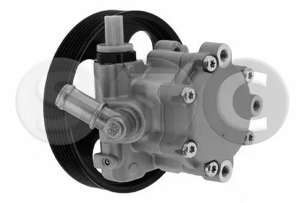 Hydraulic Pump, steering (T451656)