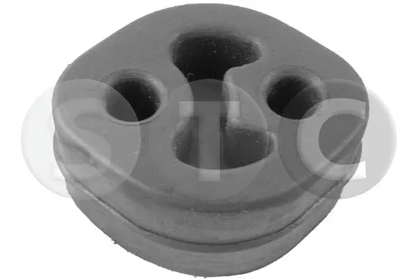 Mount, exhaust system (T405298)