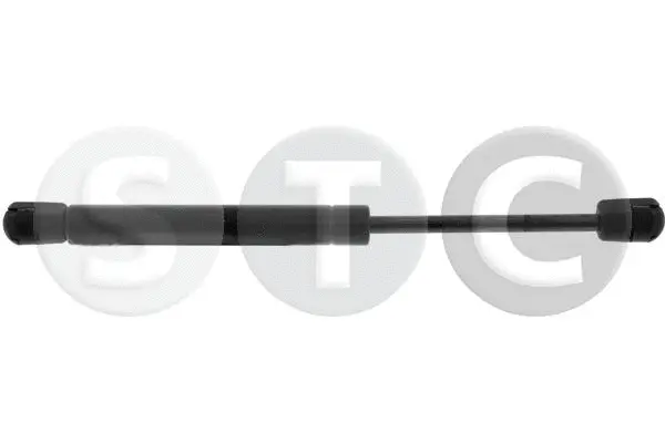 Gas Spring, boot/cargo area (T446667)