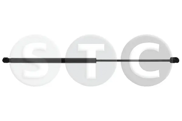Gas Spring, boot/cargo area (T446506)