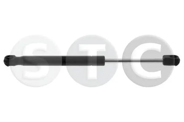 Gas Spring, bonnet (T446821)