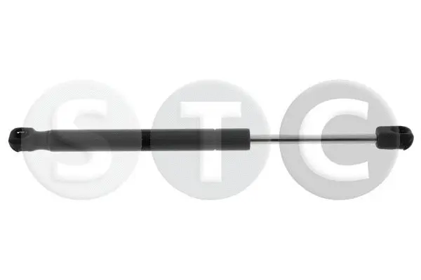 Gas Spring, bonnet (T446832)