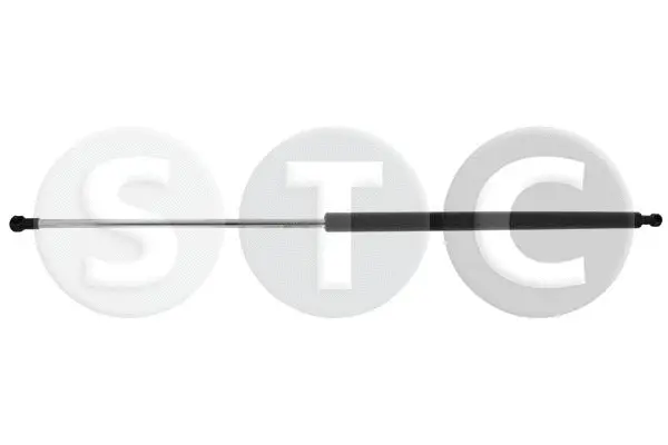 Gas Spring, boot/cargo area (T446538)
