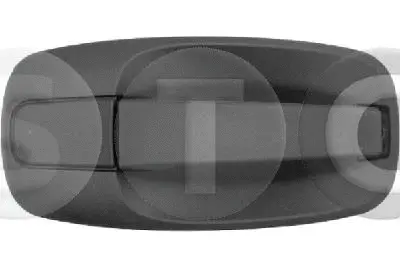 Exterior Door Handle (T443656)