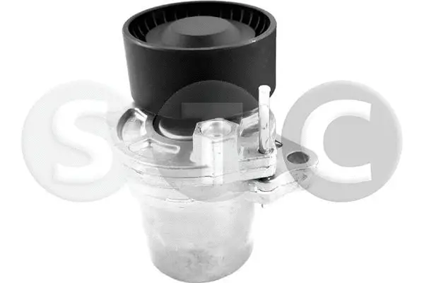 Belt Tensioner, V-ribbed belt (T458502)