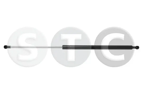 Gas Spring, boot/cargo area (T446498)