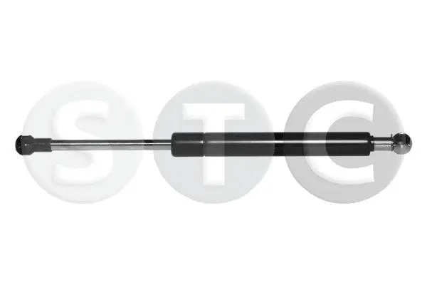 Gas Spring, boot/cargo area (T446731)