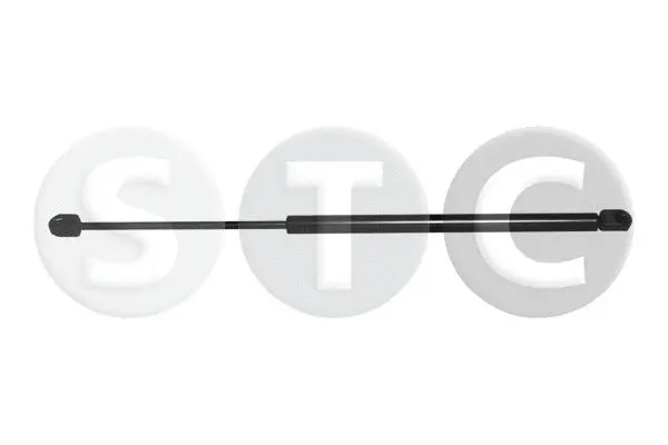 Gas Spring, boot/cargo area (T446884)
