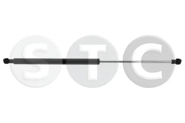 Gas Spring, boot/cargo area (T446893)
