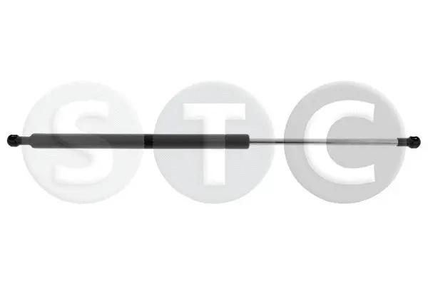 Gas Spring, boot/cargo area (T446855)