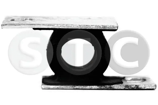 Mount, exhaust system (T441091)