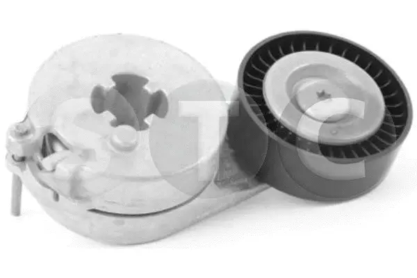 Belt Tensioner, V-ribbed belt (T448838)