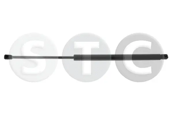 Gas Spring, boot/cargo area (T446883)