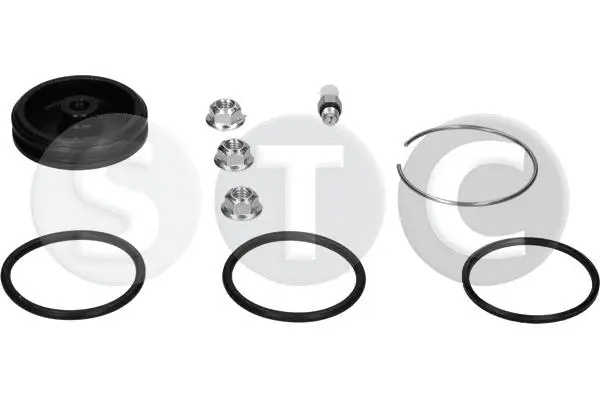 Air Spring, suspension