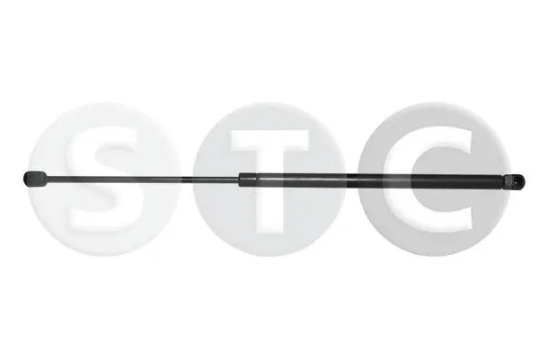 Gas Spring, boot/cargo area (T446218)