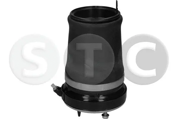 Air Spring, suspension