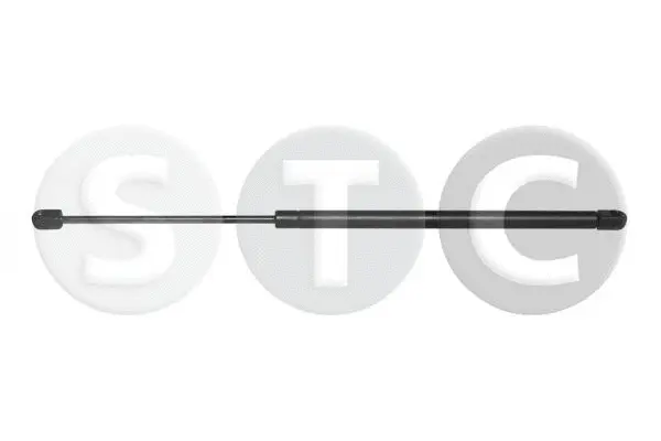 Gas Spring, boot/cargo area (T446808)