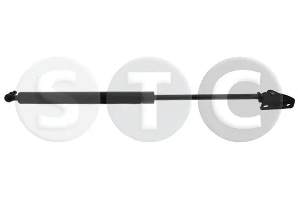 Gas Spring, boot/cargo area (T446330)