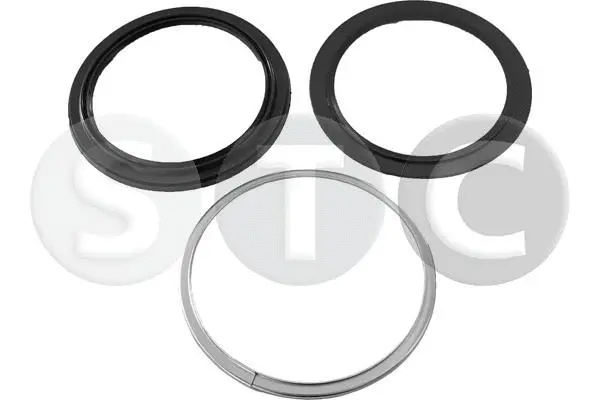 Repair Kit, kingpin (T443008)