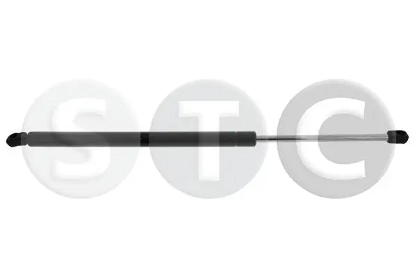 Gas Spring, boot/cargo area (T446220)
