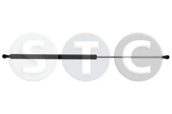 Gas Spring, boot/cargo area (T446735)