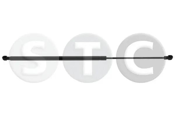Gas Spring, boot/cargo area (T446784)