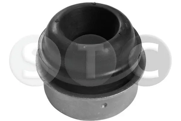 Bushing, axle beam (T453970)